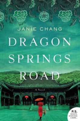 Dragon Springs Road by Janie Chang