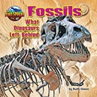 Fossils: What Dinosaurs Left Behind