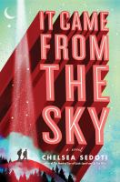 It came from the sky : a novel 