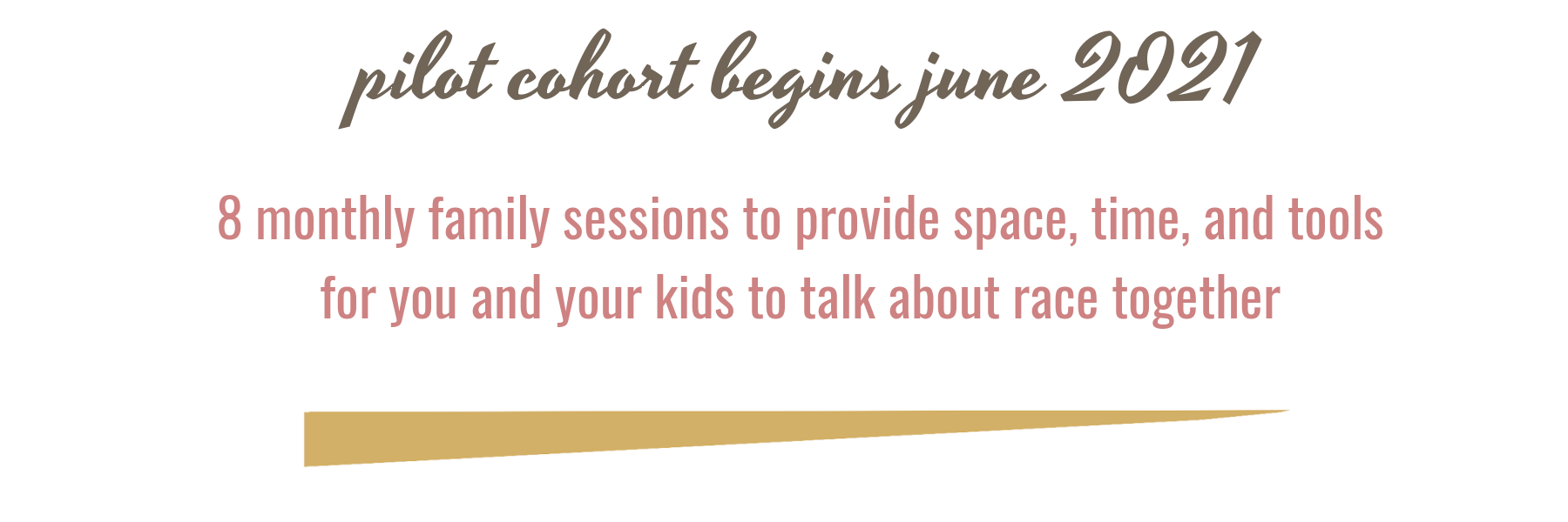 Pilot cohort begins June 2021. 8 monthly family sessions to provide space, time, and tools for you and your kids to talk about race together.