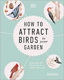 How to attract birds to your garden: Foods they like, plants they love, shelter they need 