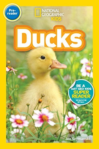 National Geographic Kids Readers: Ducks