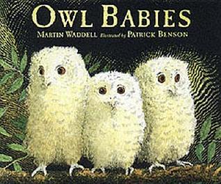 Owl Babies 