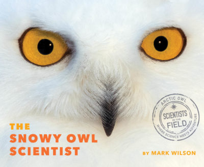 Snowy Owl Scientist (Scientists in the Field series)