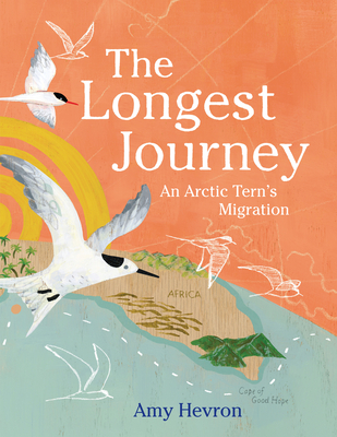 The Longest Journey: An Arctic Tern’s Migration