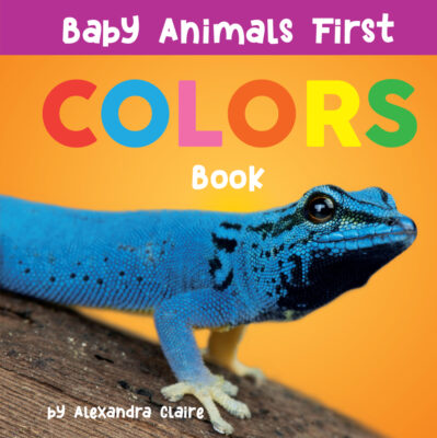 Baby Animals First Colors