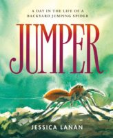 Jumper: The Day in the Life of a Backyard Jumping Spider