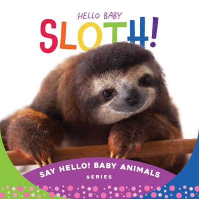 Hello, Baby Sloth!